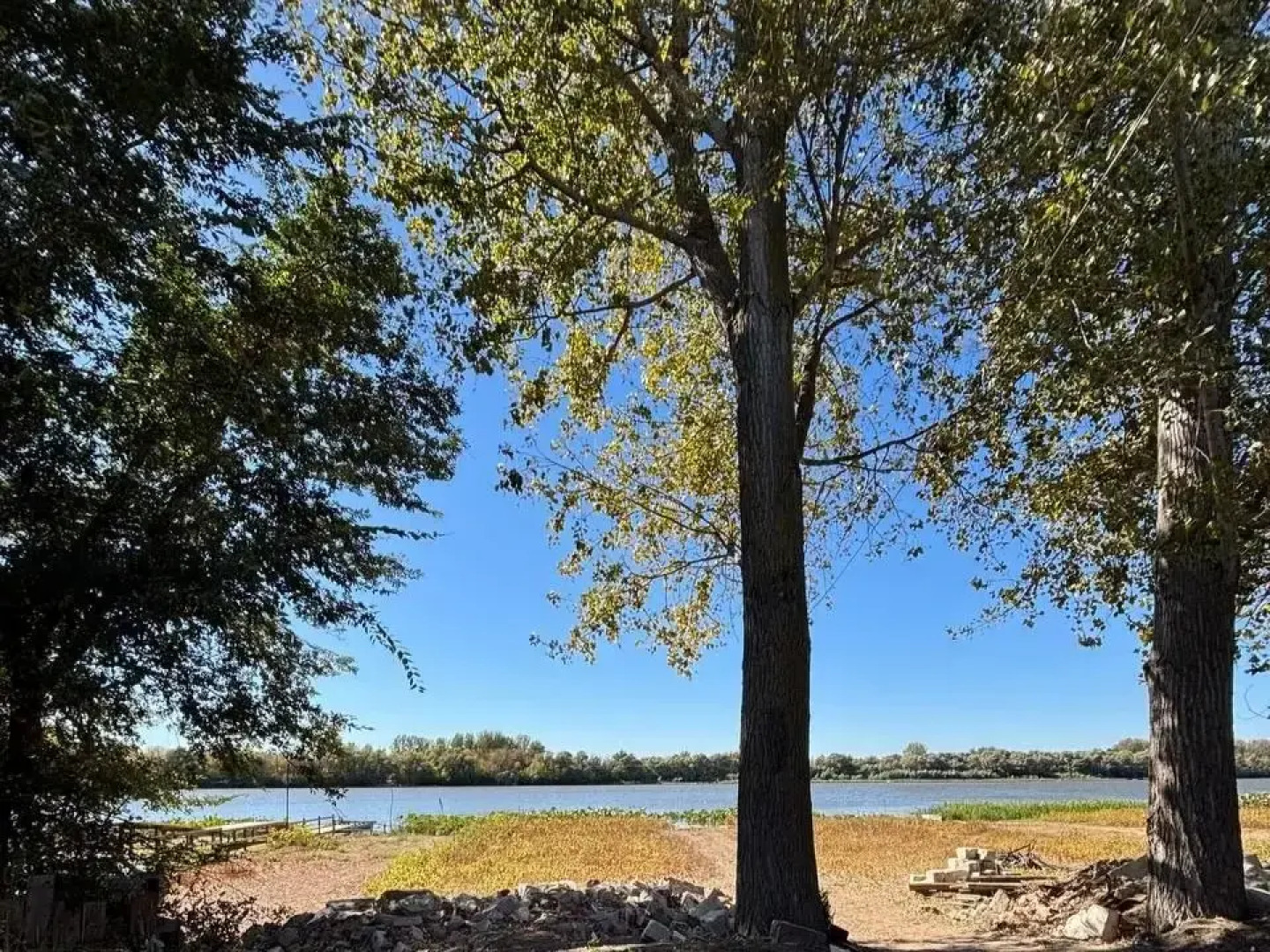 Гостевой дом Хвоя