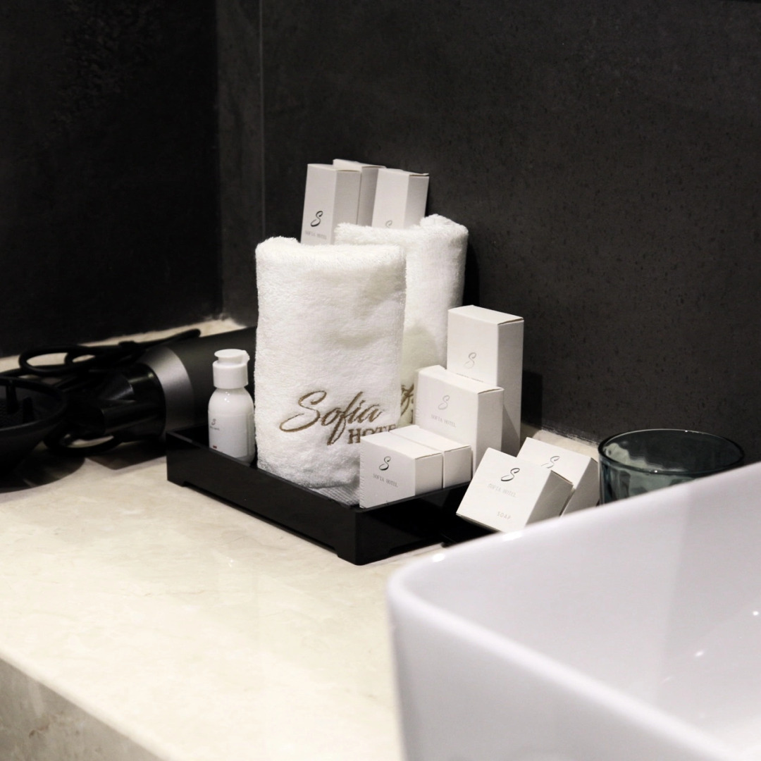 Отель Sofia International