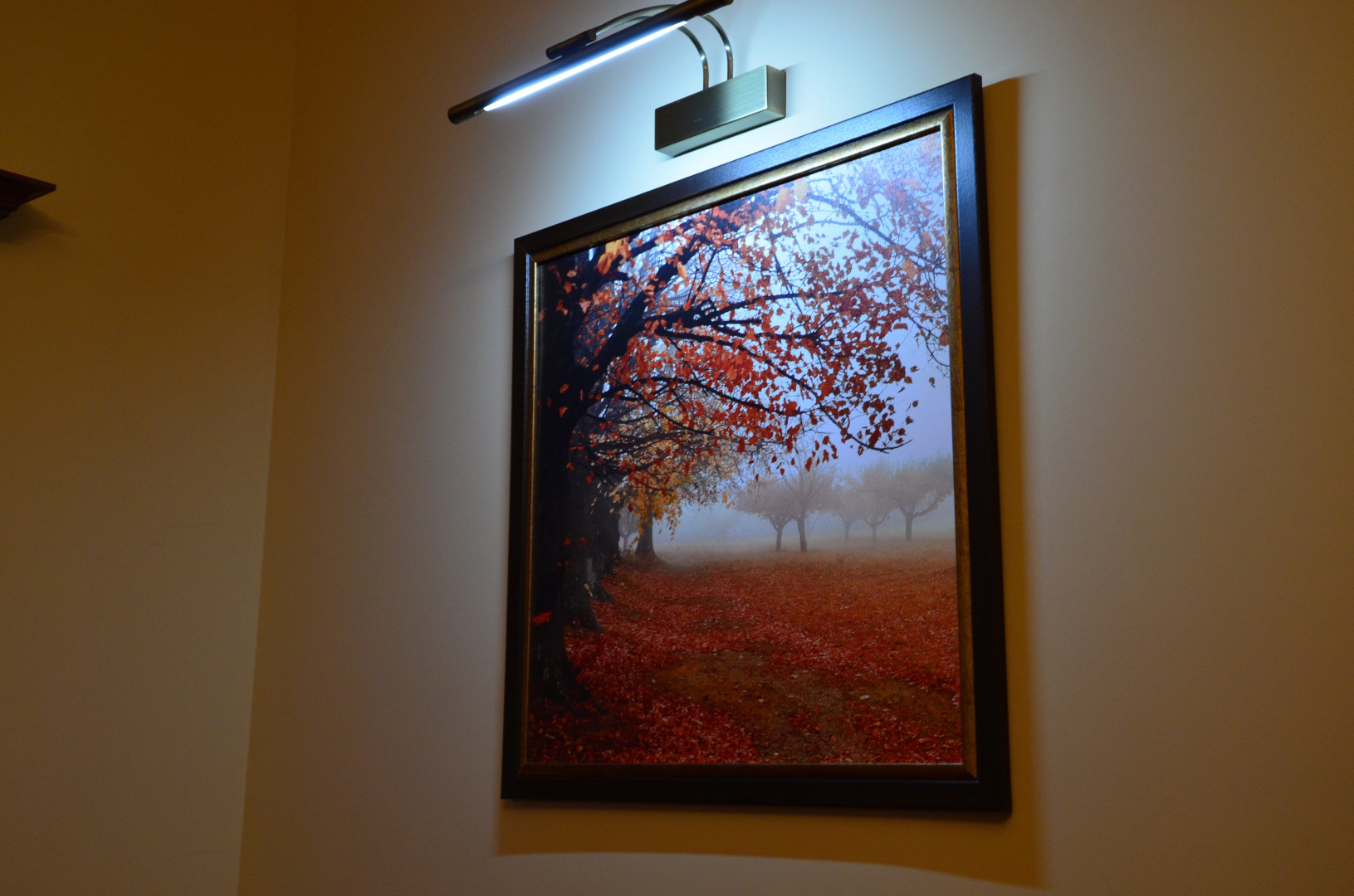 Отель Меридиан