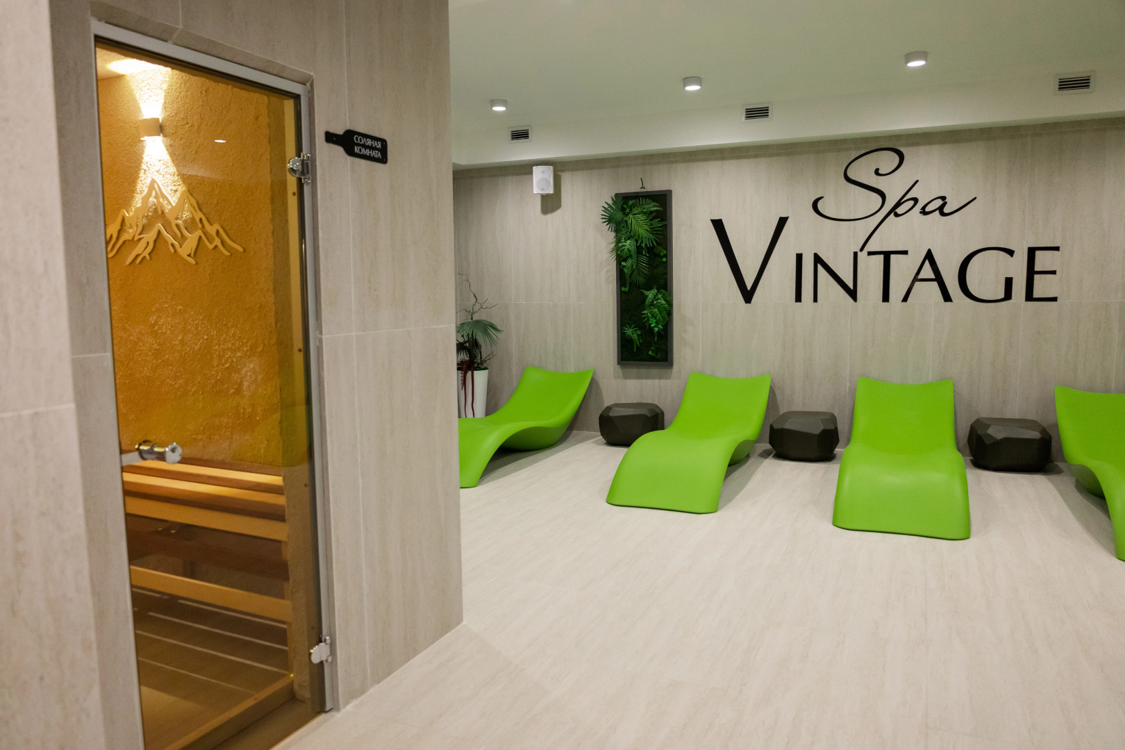 Отель Spa Hotel VINTAGE