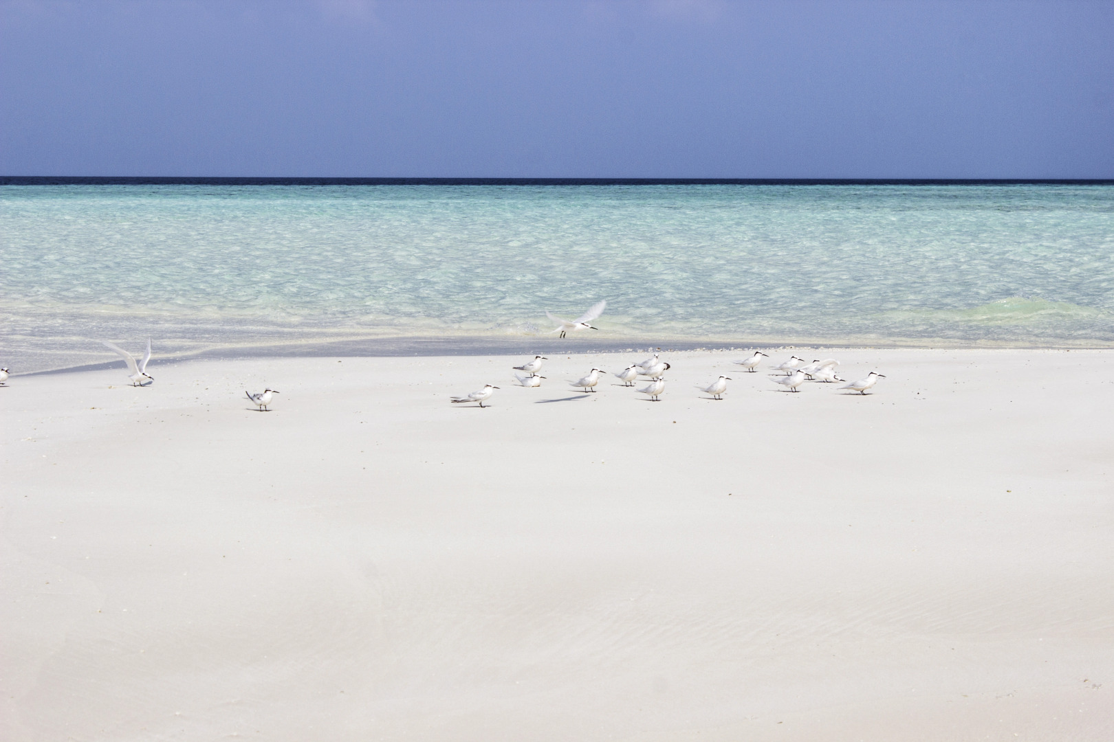 Гостевой Дом Holiday Grand Maldives