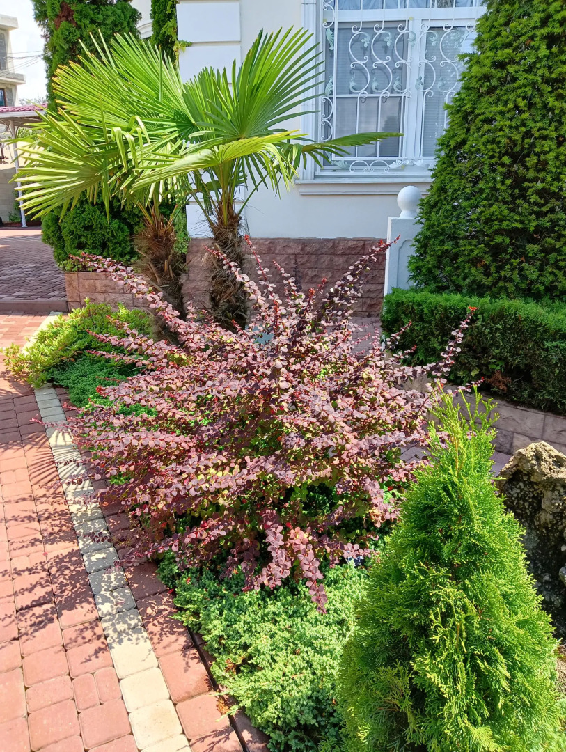 Гостевой Дом Орел-Изумруд