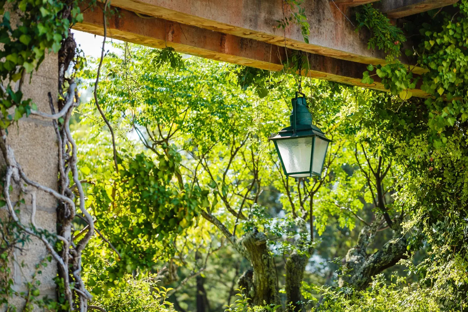 Отель Fonte Santa