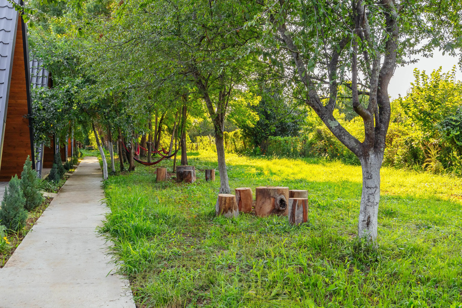 Эко-коттеджи ДиАлекс