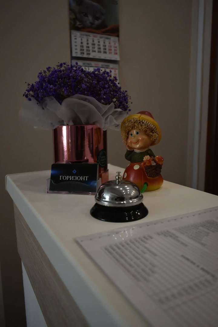 Отель Гостиничный комплекс "Горизонт"