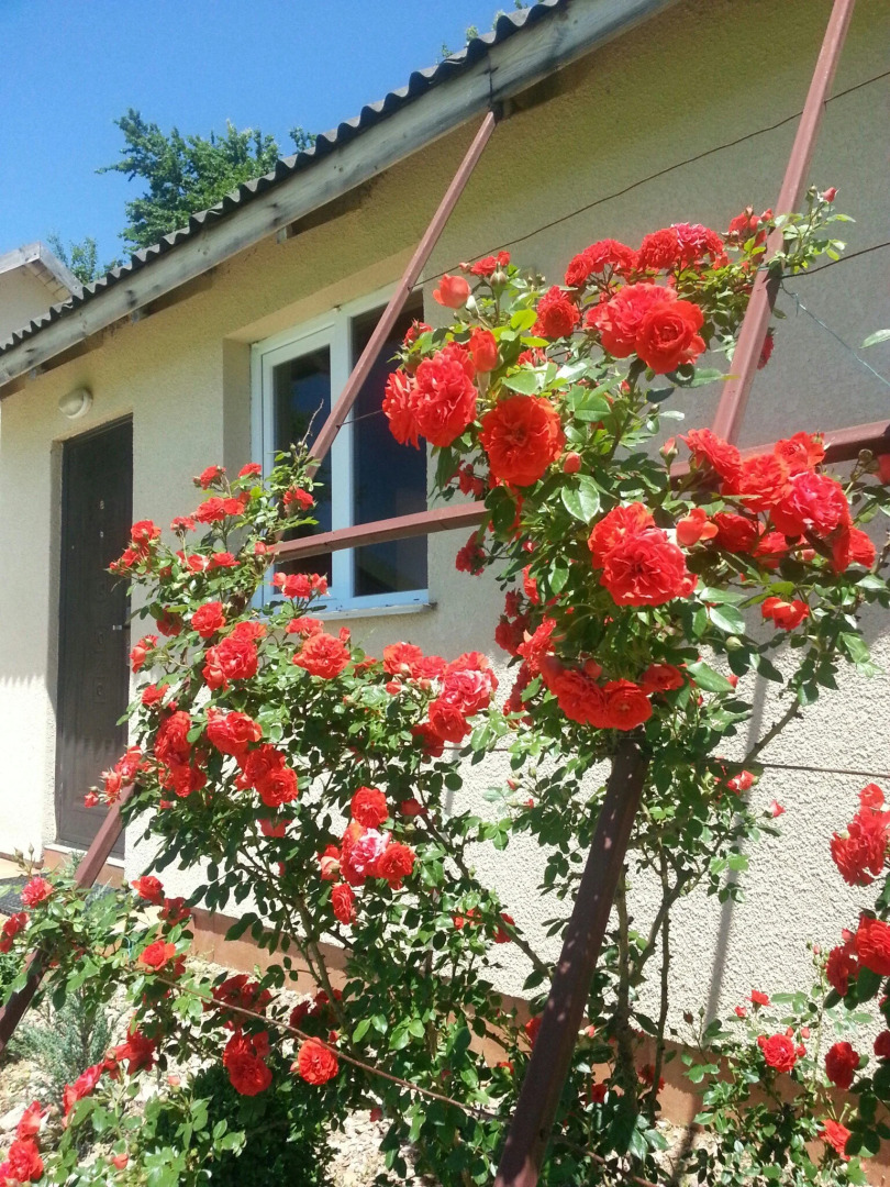 База Отдыха SPA Усадьба Белый Остров