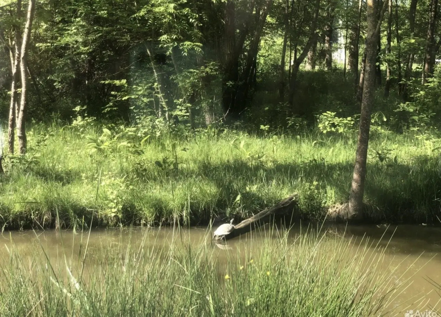 Частный дом Домик у леса