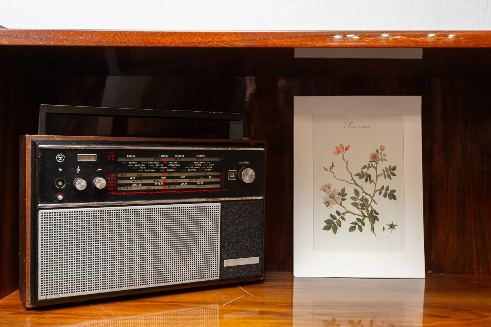 Апартаменты в стиле СССР