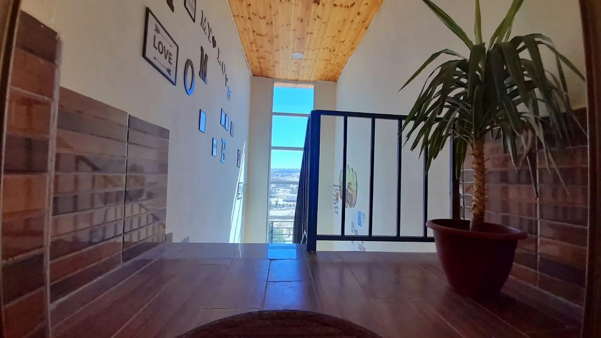 Хостел Petra Cabin