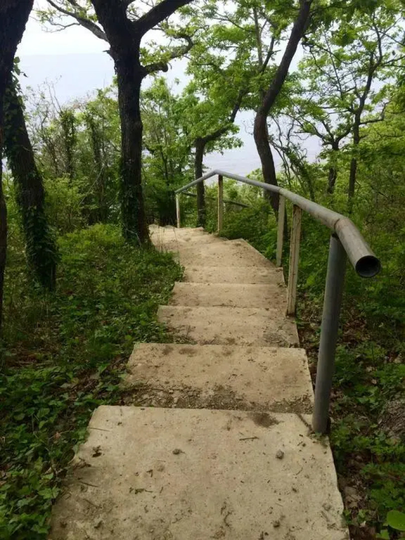 Мини-Отель Green Wood