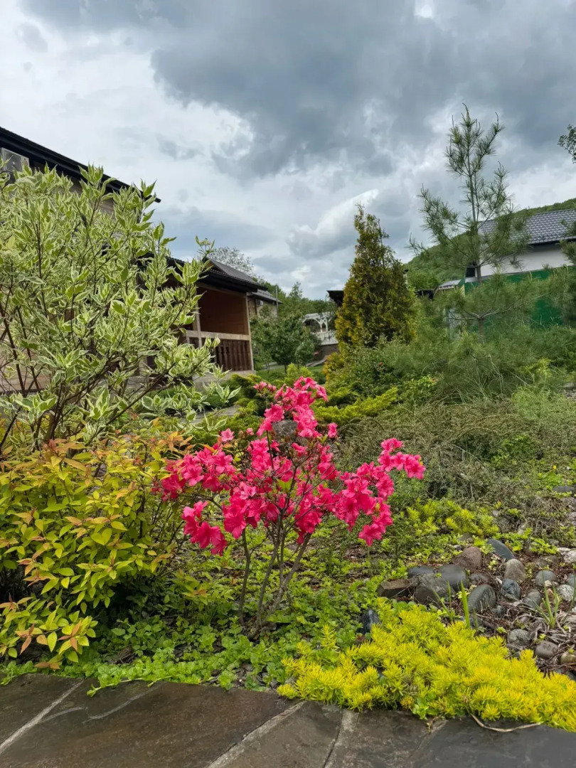 Гостевой дом Отдых у реки