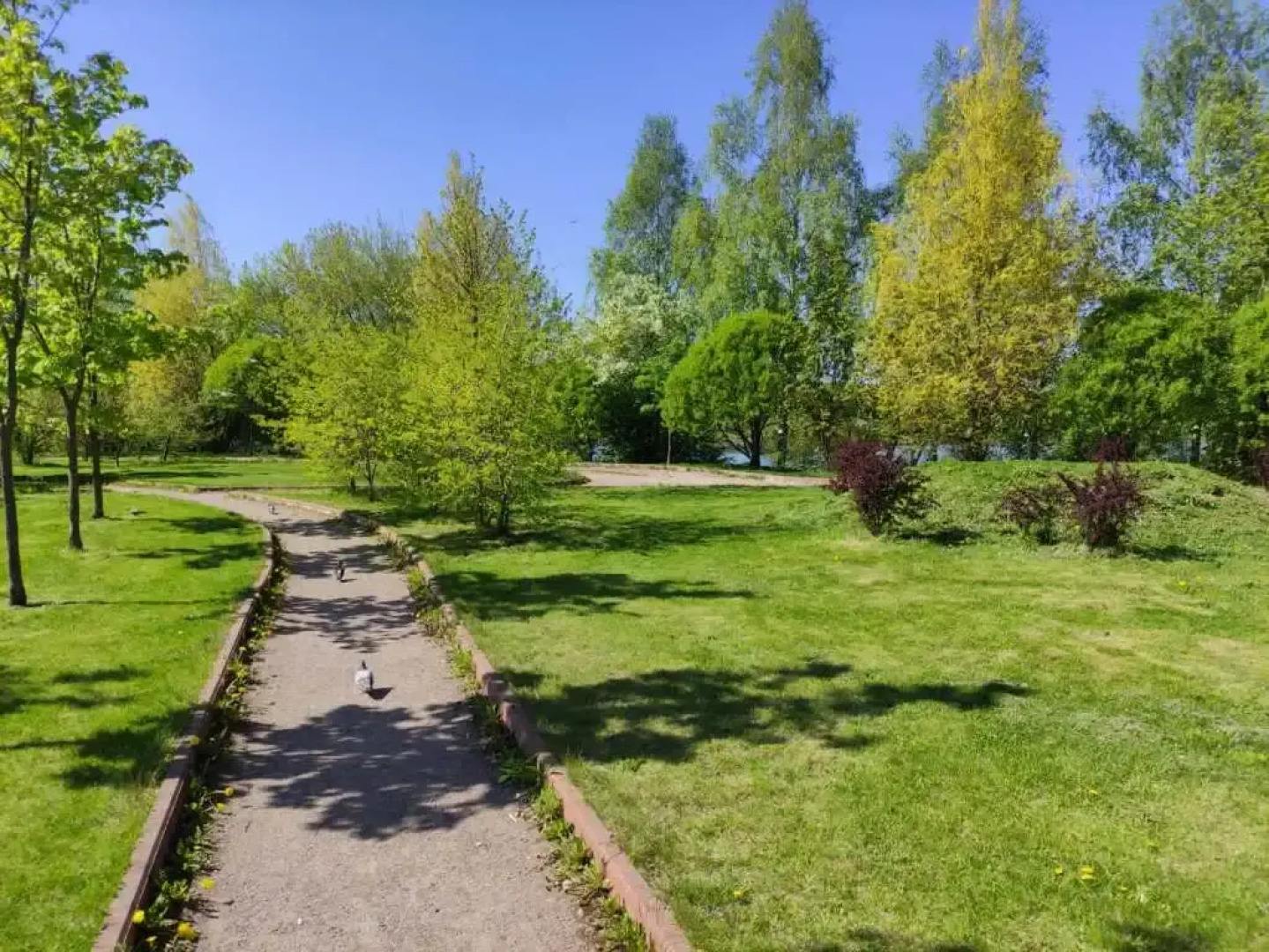 Апартаменты в авторском стиле м.Физтех