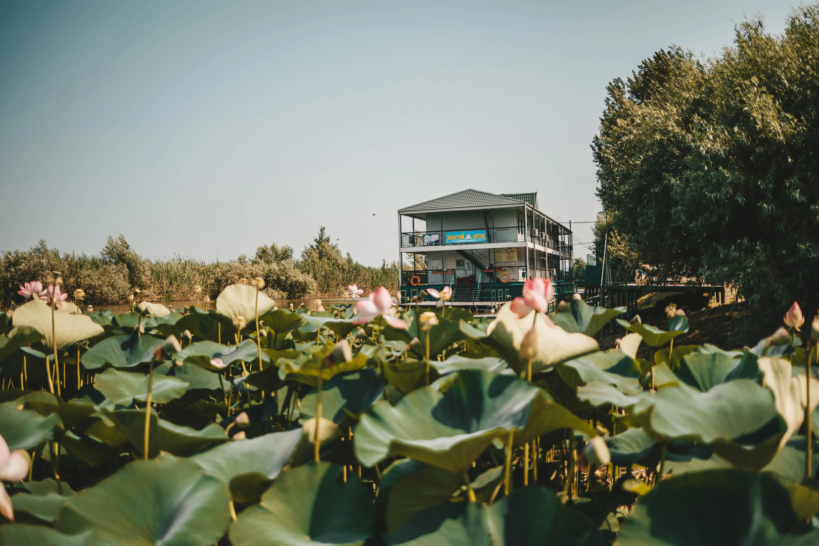 База отдыха Золотой Лотос