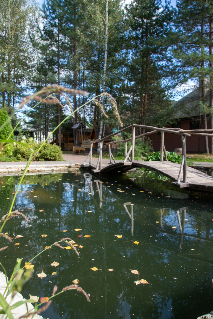 База отдыха Парк отель Завидово