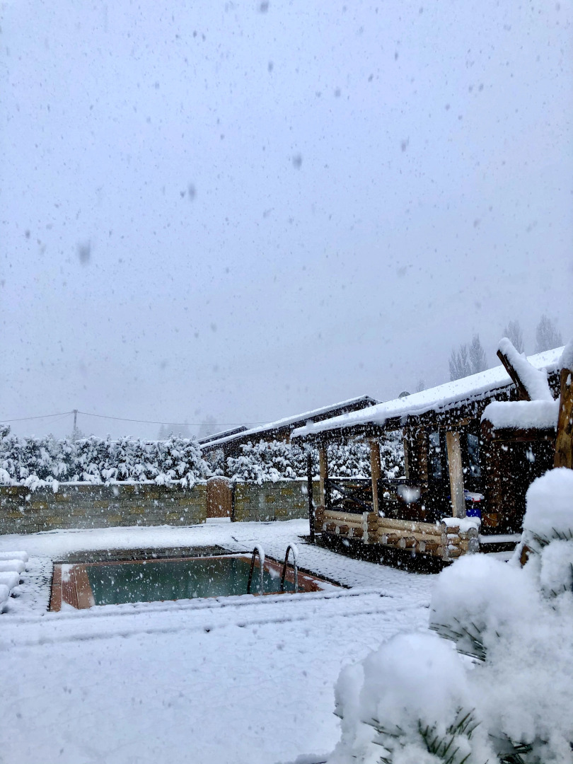 Отель Кедровый Бор