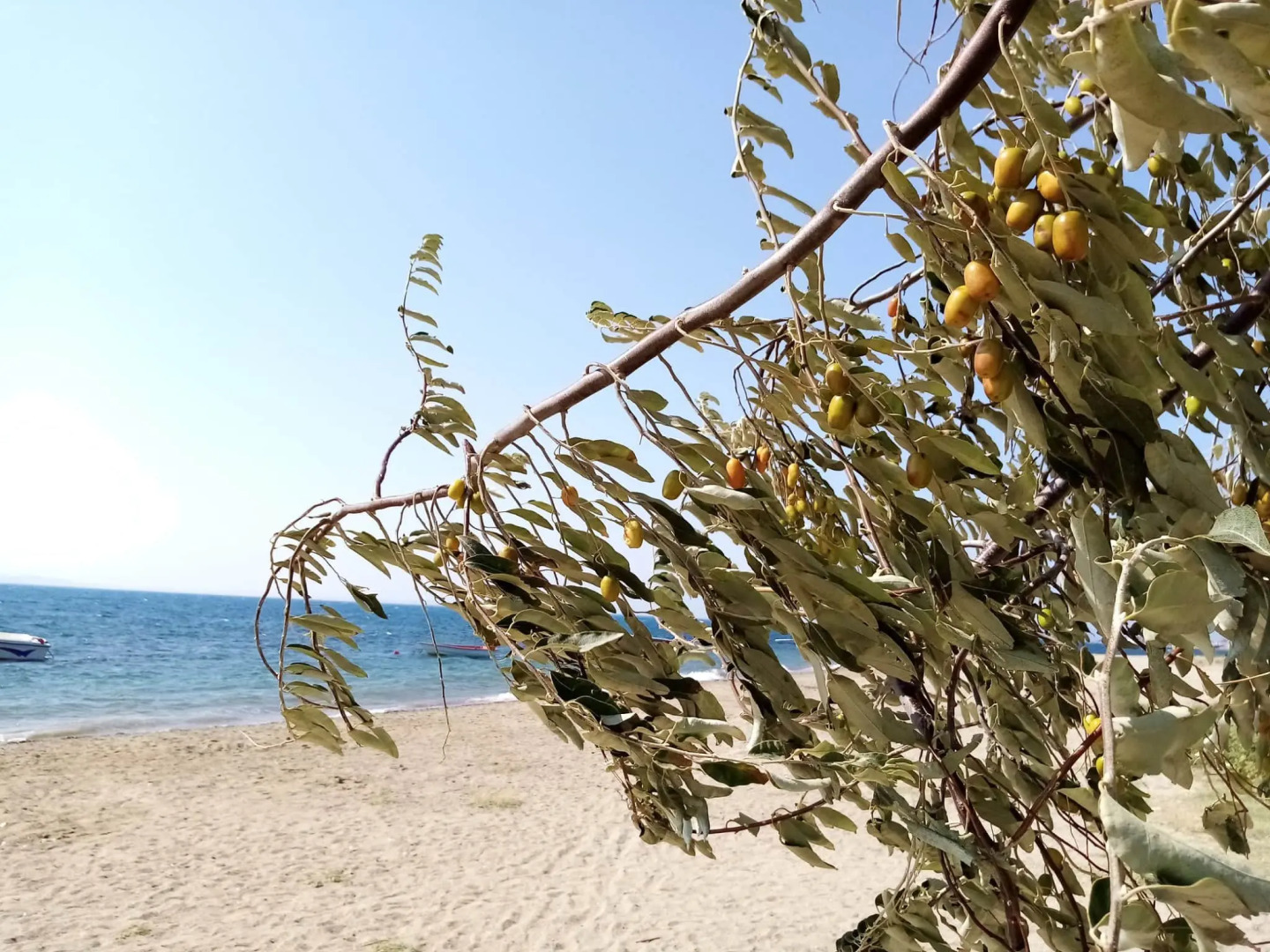 Вилла Yazduf Family Holiday Homes