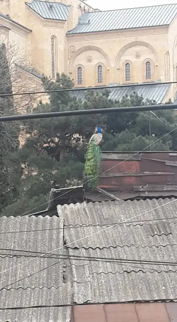 Гостевой Дом Id House