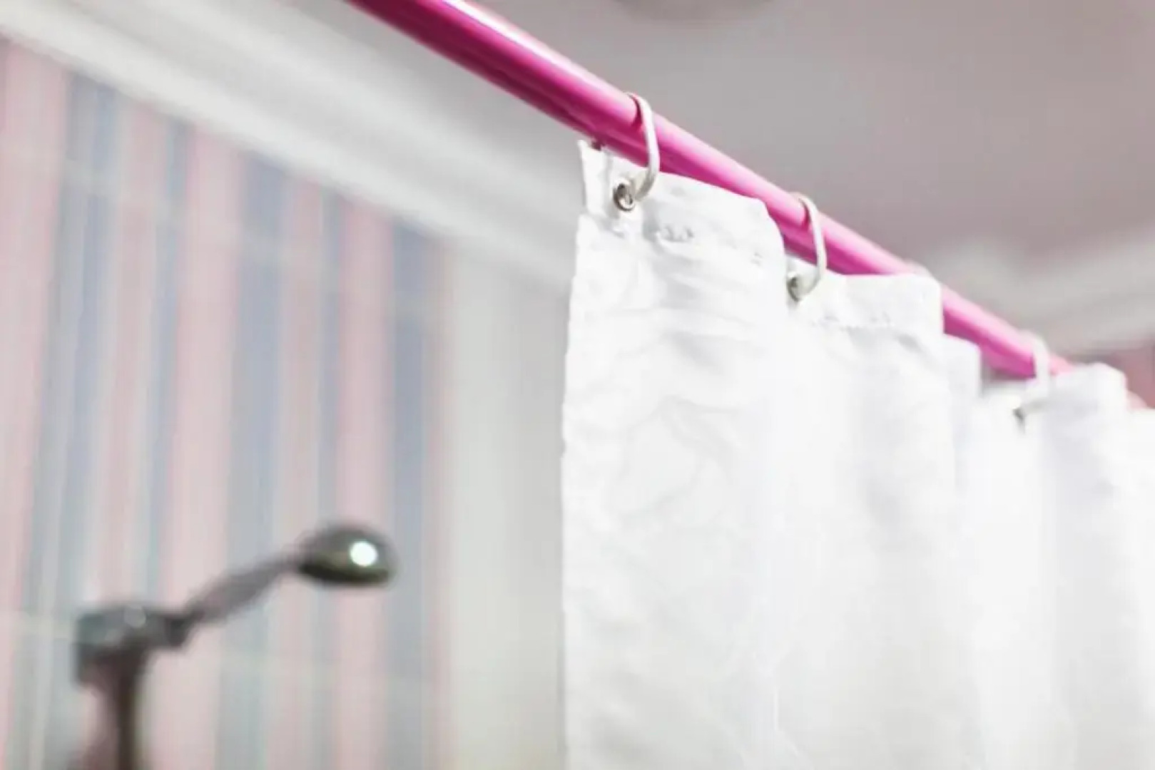 Отель Олива