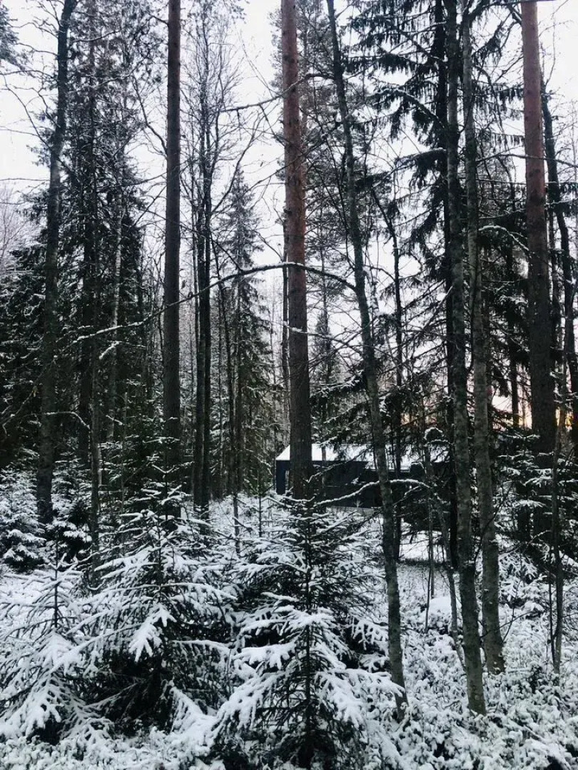Частный дом Баpнxауc в Сосновом Бору