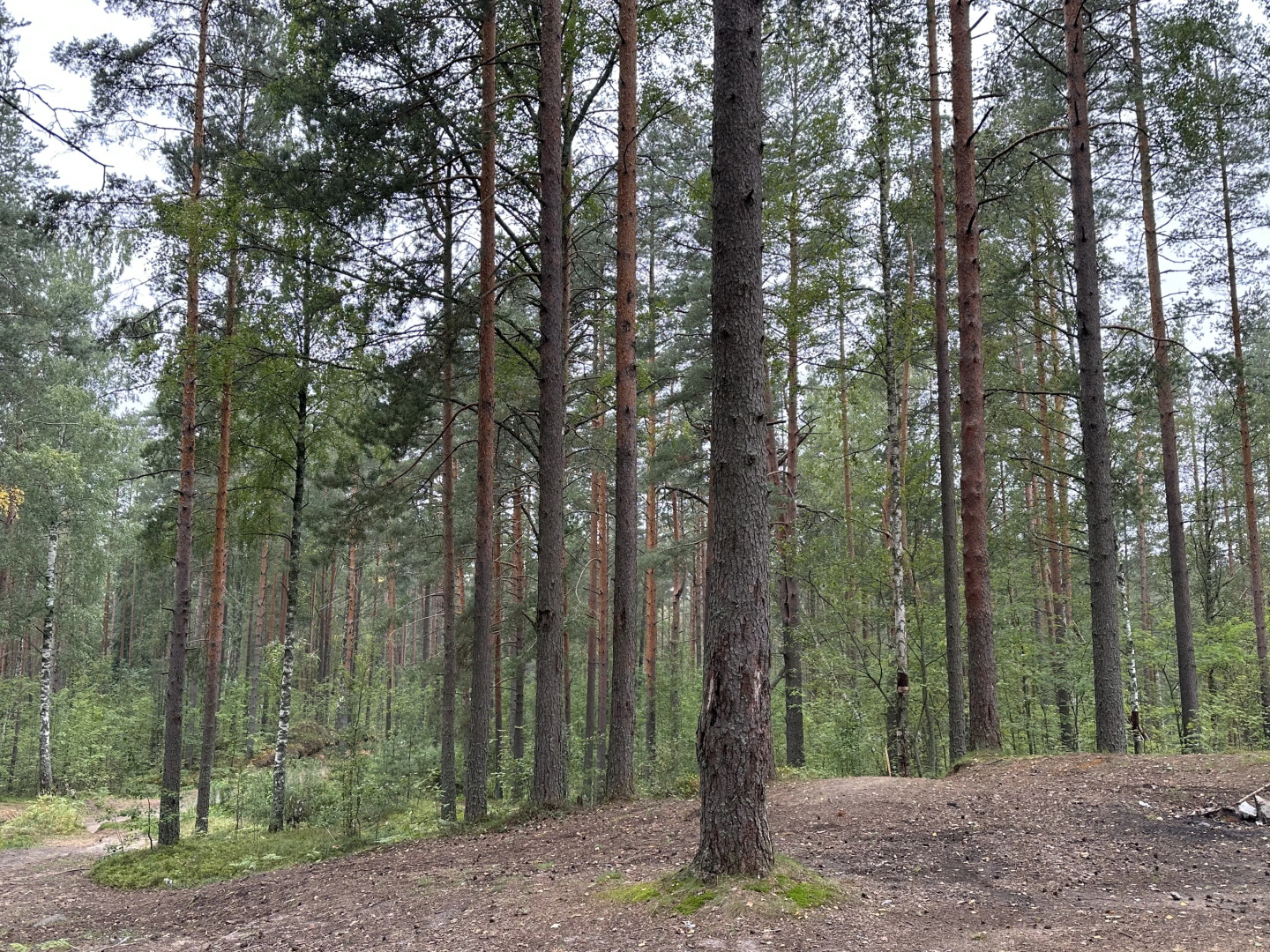 Частный дом загородный с баней на дровах