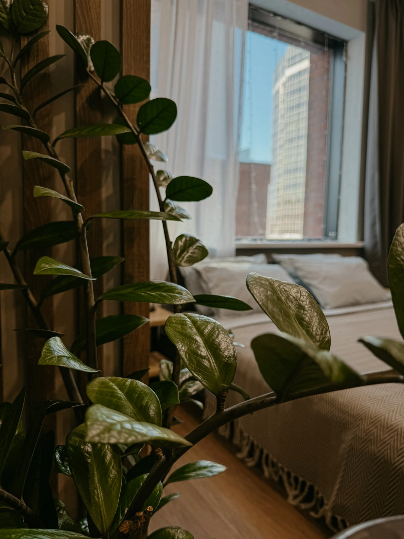 Апартаменты  в Стиле   NewYork