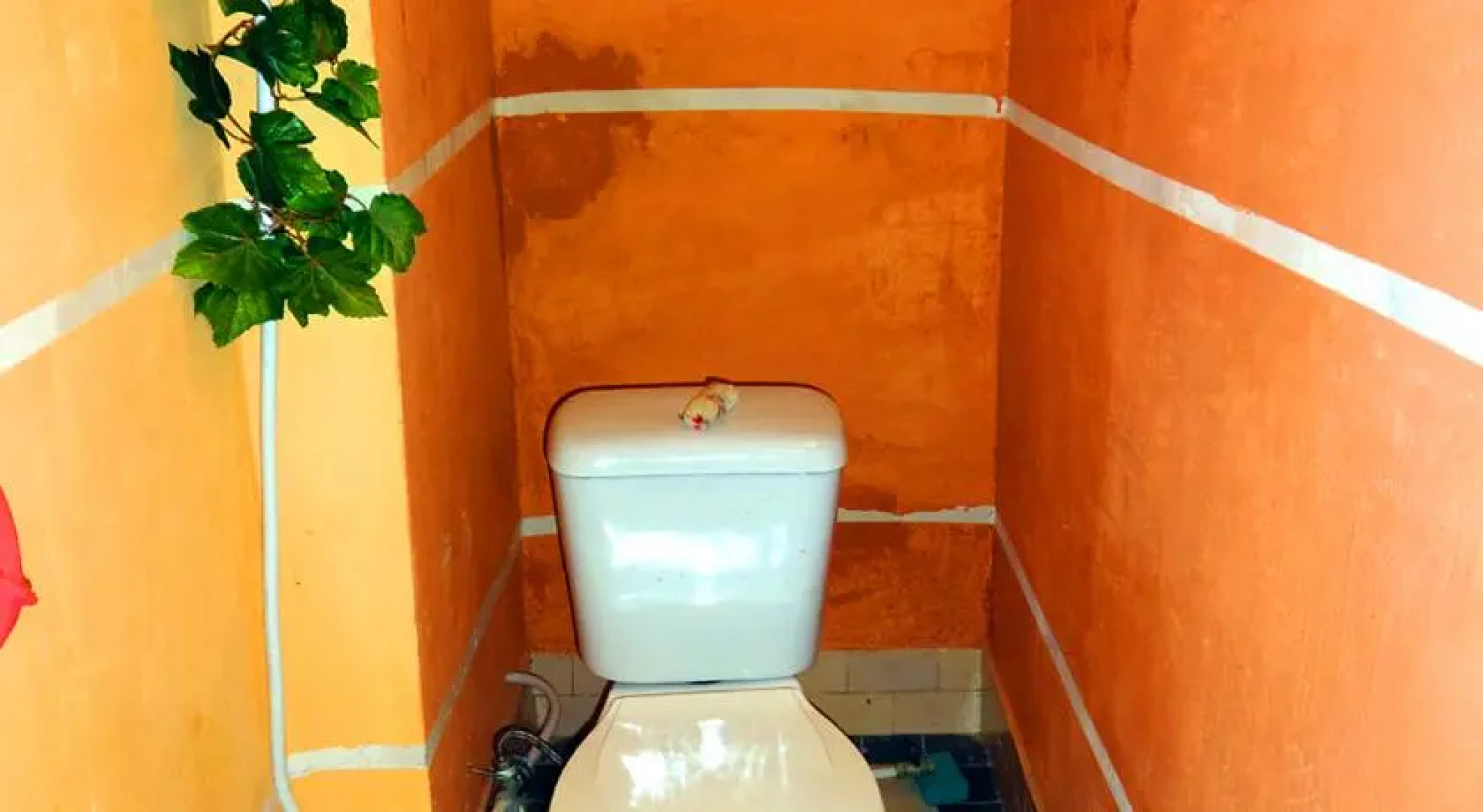 Пансионат Усадьба Пушкиных