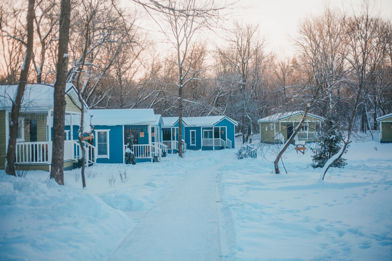 Глэмпинг Лес и Река
