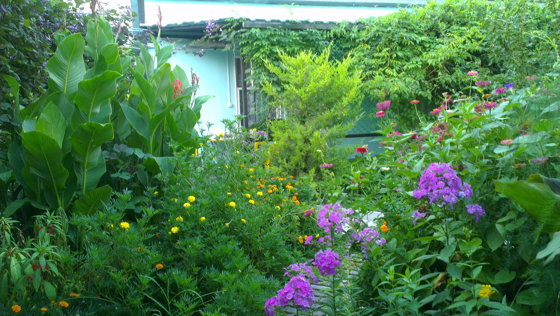 Гостевой дом У Борисовны