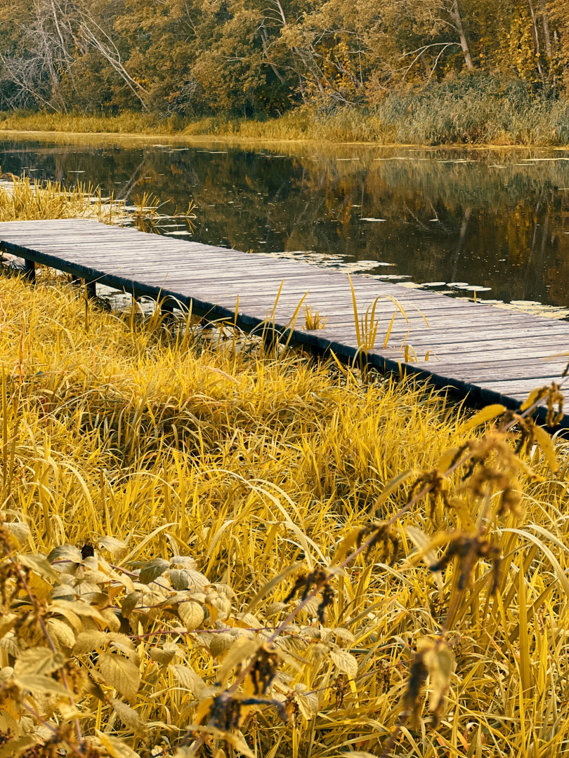 База отдыха Лава