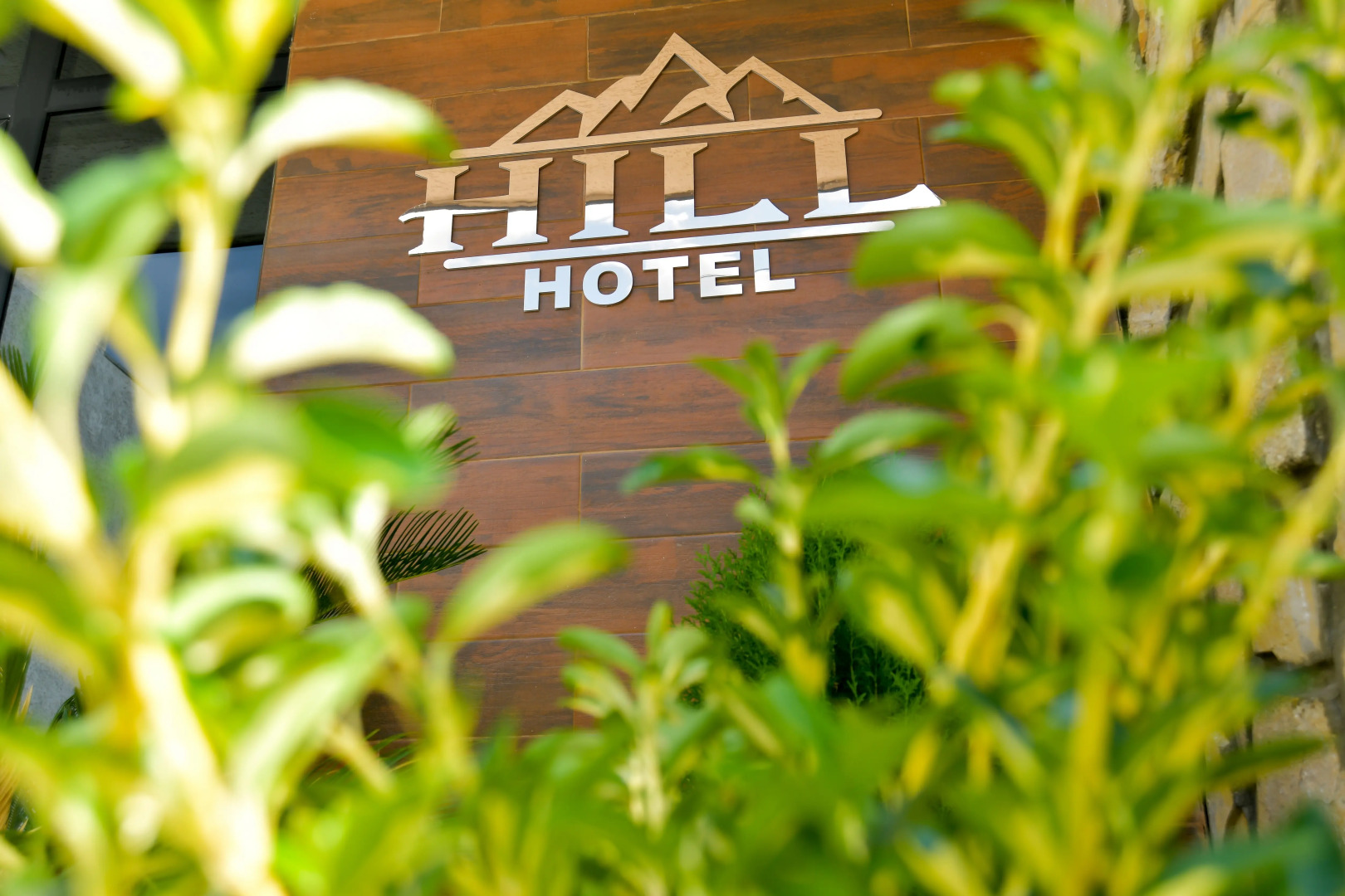 Отель Hill Hotel Kutaisi
