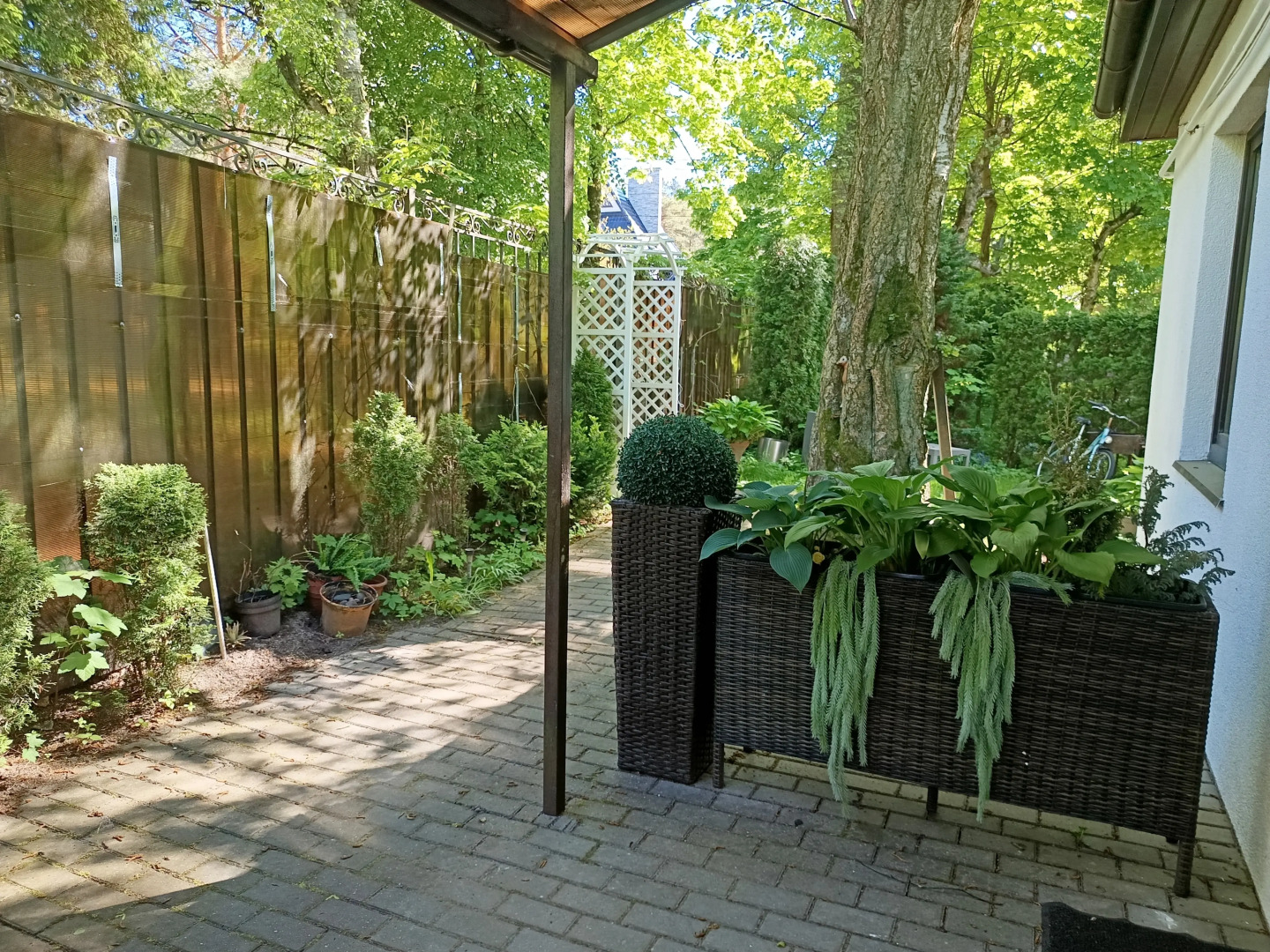 Квартира Апартаменты Амбер в Самом Центре с Отдельным Входом 1