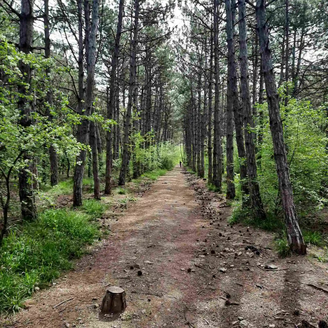 Квартира с красивым видом