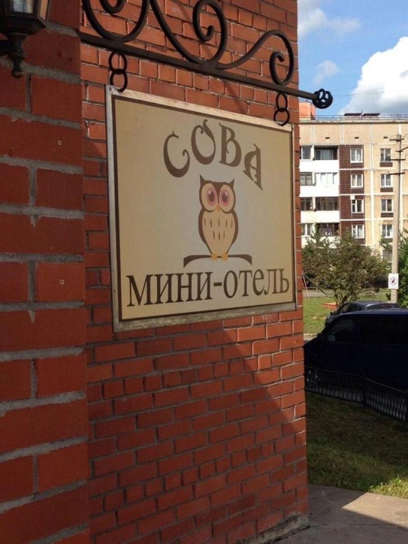 Хостел Сова
