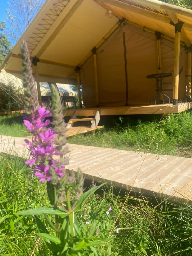 Кемпинг Малина Глэмпинг КОСА