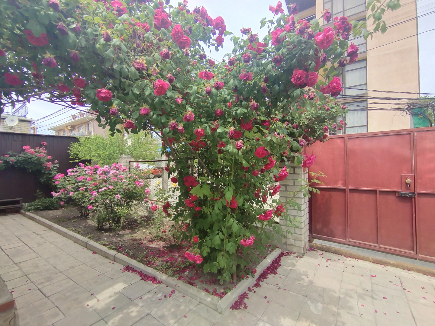 Жилое помещение Песчаная