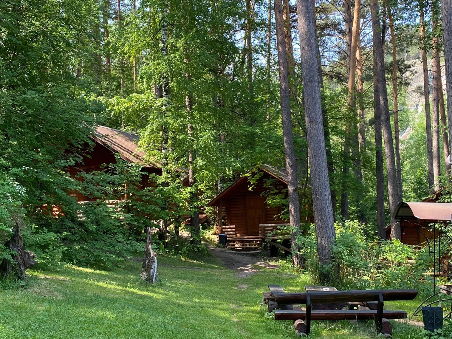 Отель Altai Star
