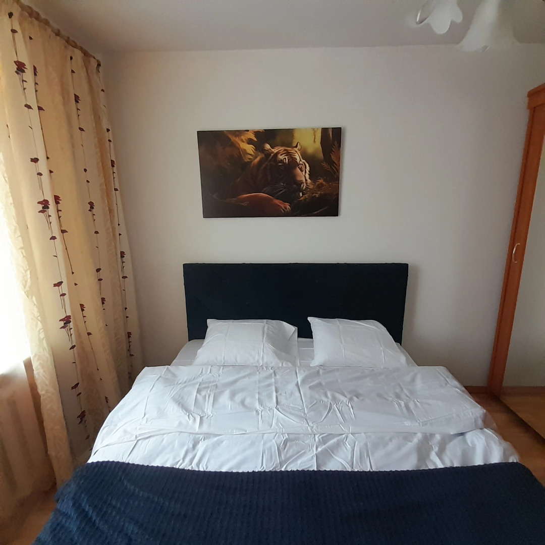 Квартира Просторная квартира в тихом районе