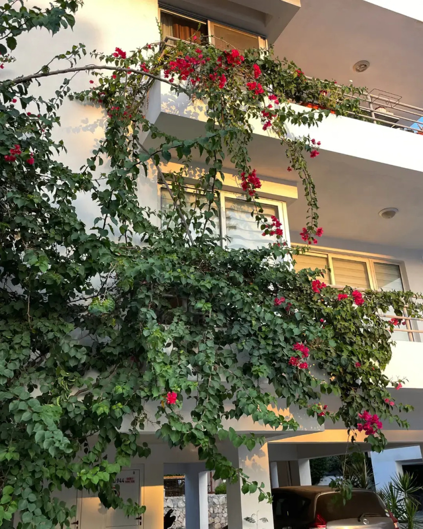 Апарт-отель Rix