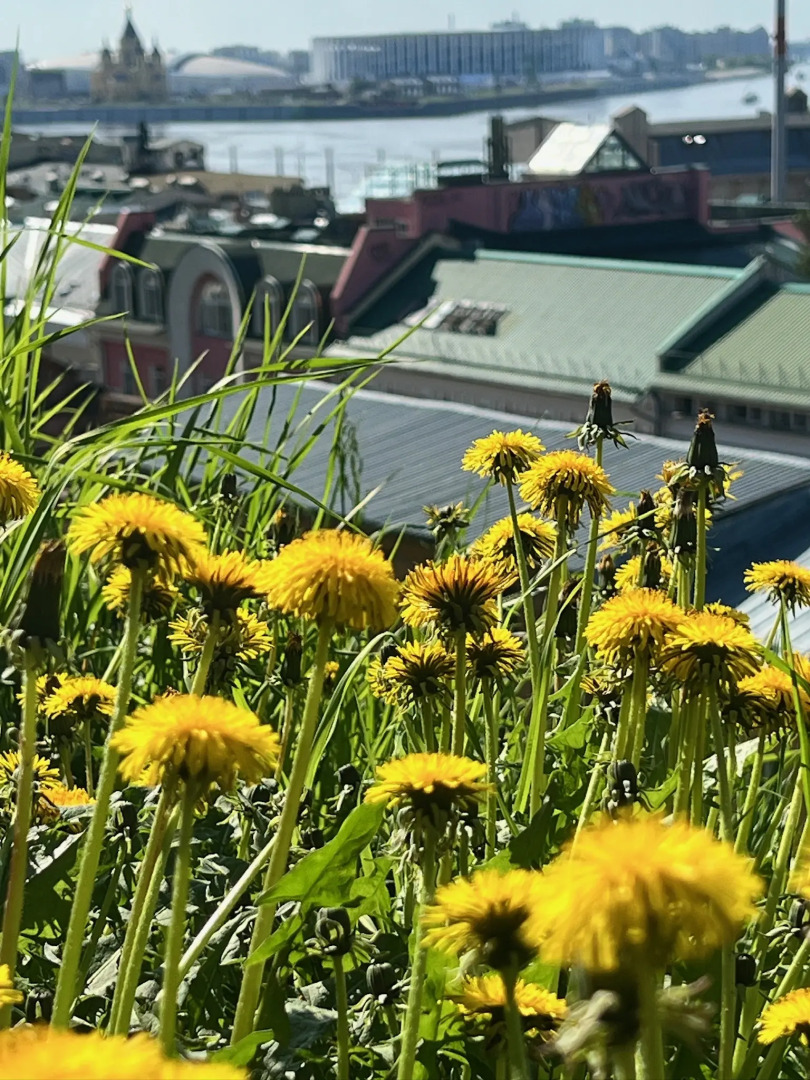 Апартаменты Дом у Реки loft Усадьба на Черниговской