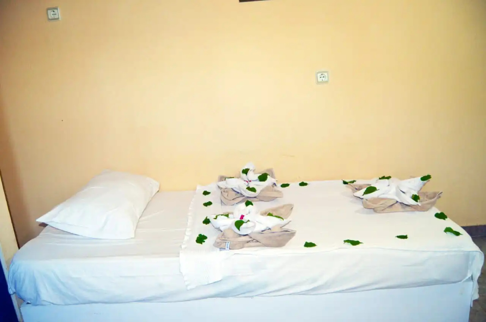 Отель Sunpoint Family