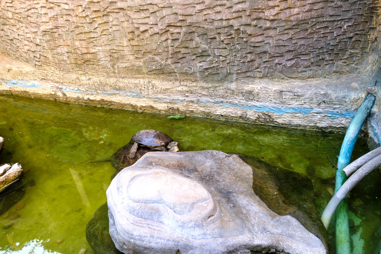 Гостевой Дом Бристоль