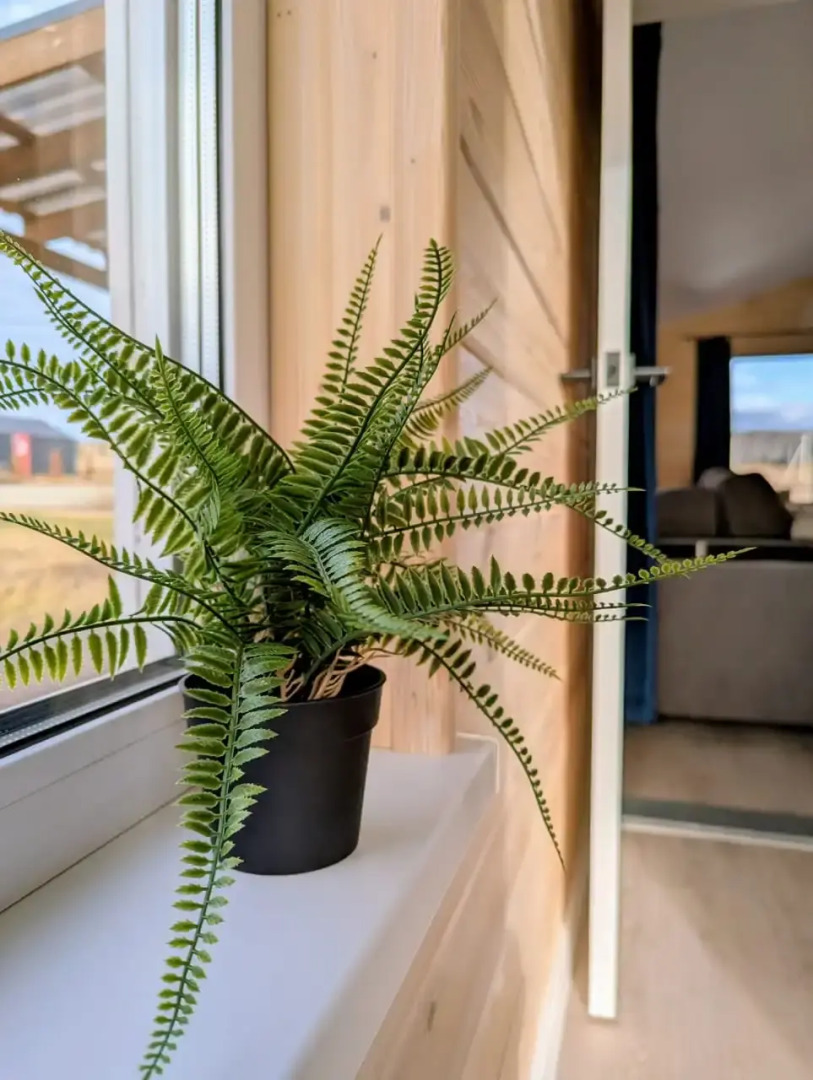 Частный дом Просторный