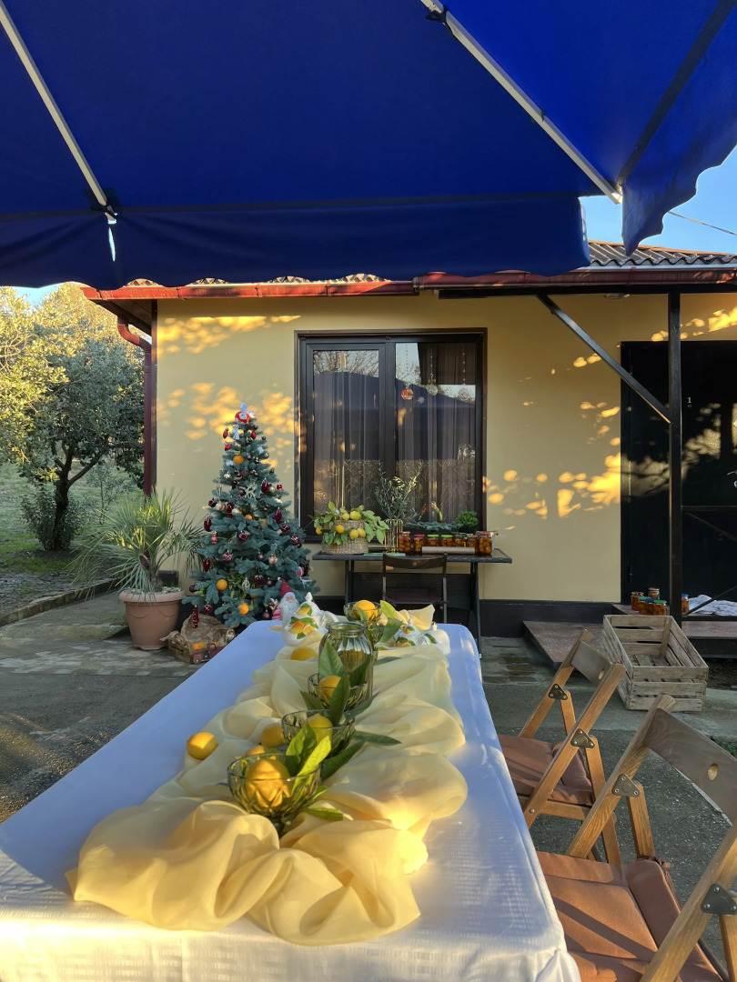 Частный дом Мандариновый дворик