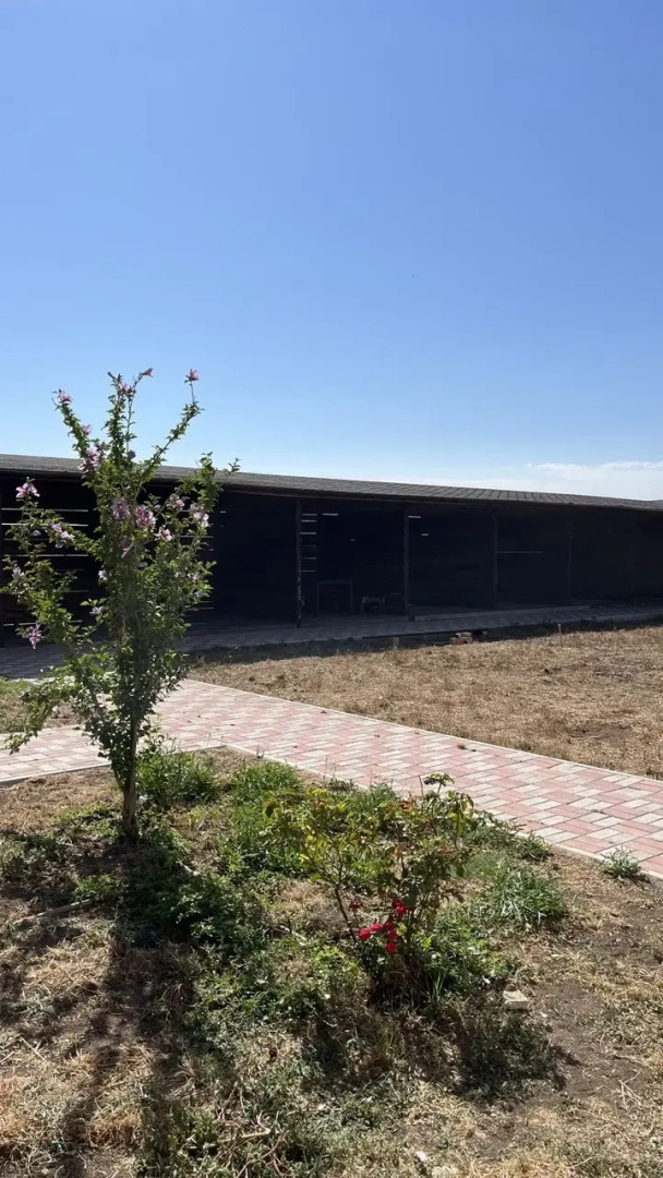 Апартаменты ZetPark 6