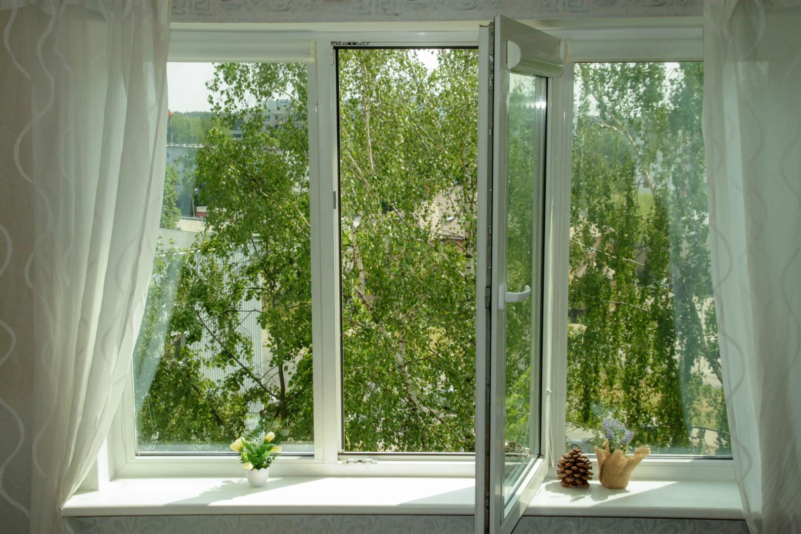 Апартаменты Берёзовая роща