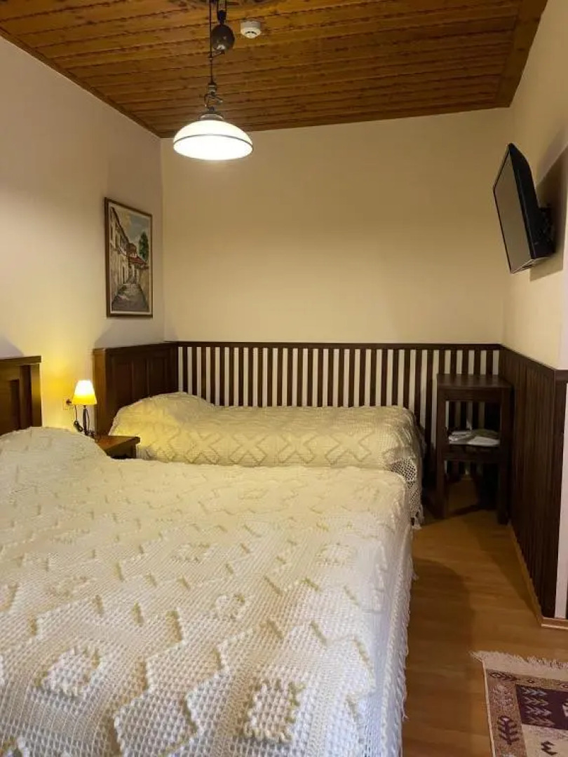 Отель Mangalemi