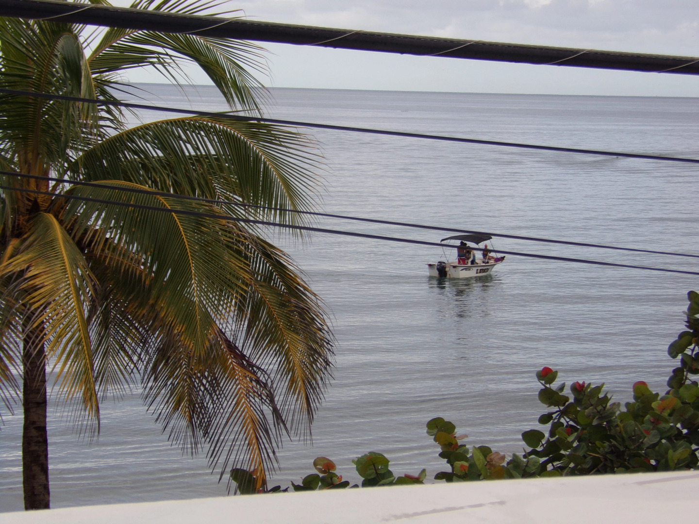 Гостевой Дом Mares Resort