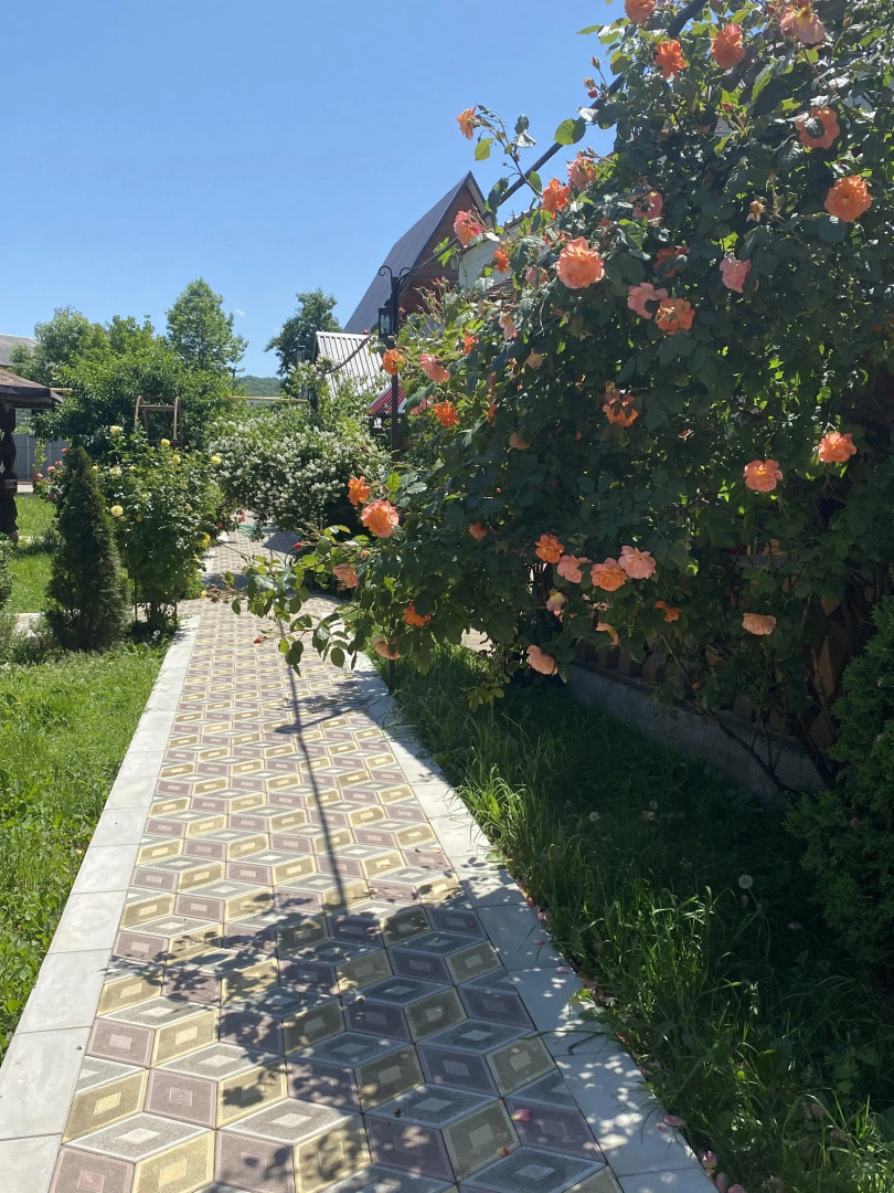 Гостевой дом Солнечный Хаджох