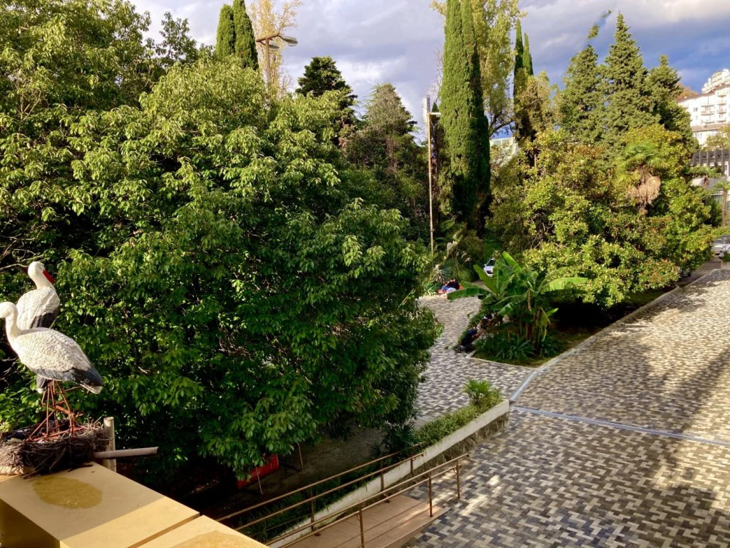 Апартаменты в Центре Сочи