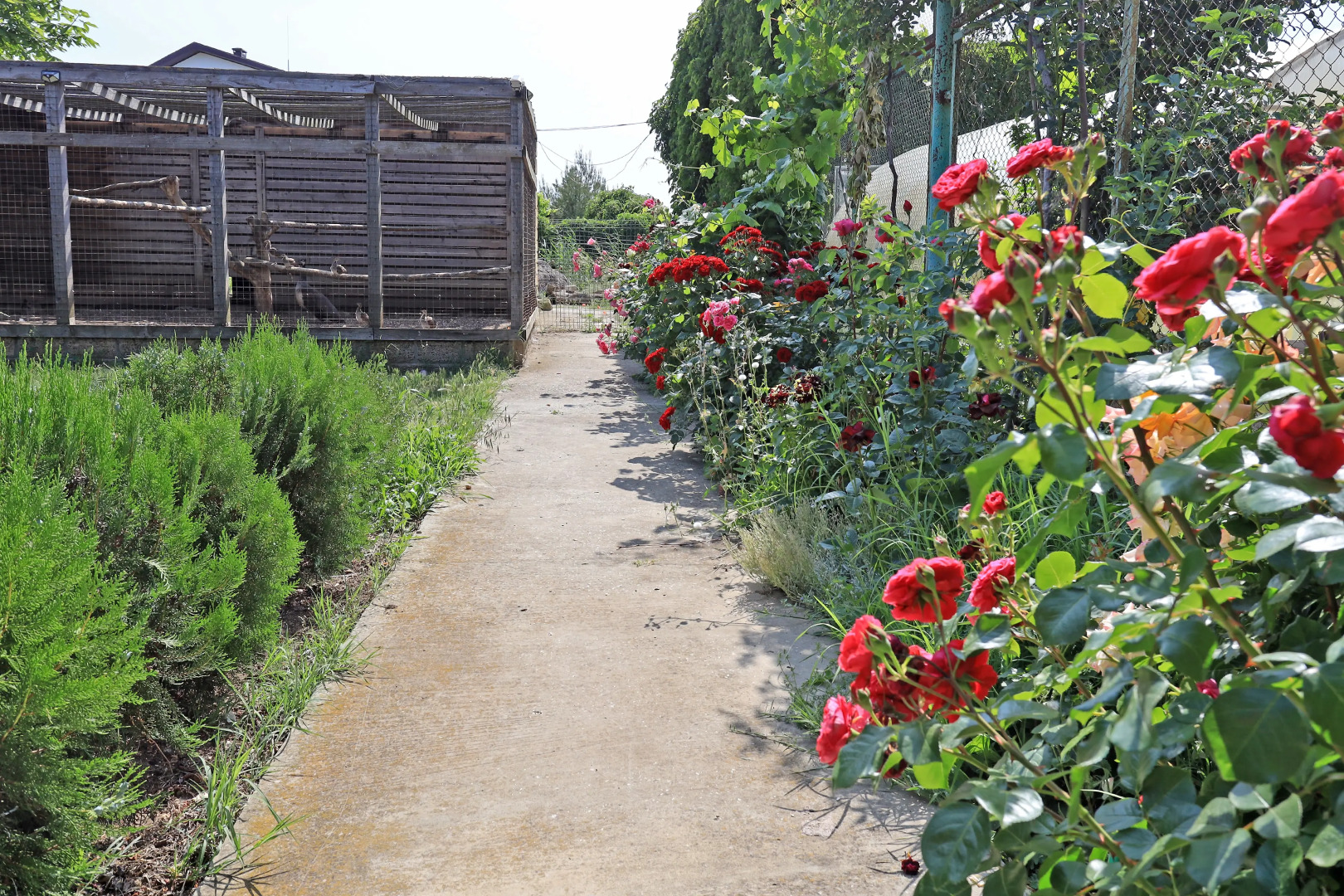 Гостевой дом Парк-отель Казантип Центр